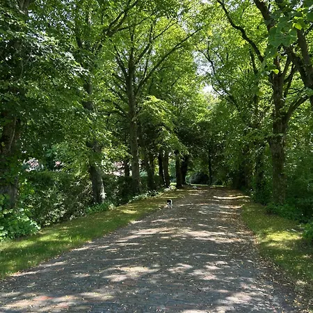 Daire Ii Im Idyllischen Gulfhof Krummhörn